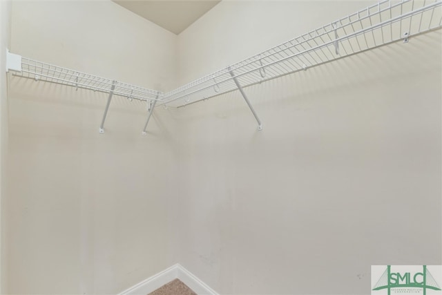 view of spacious closet