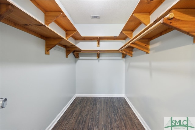 spacious closet with dark hardwood / wood-style floors