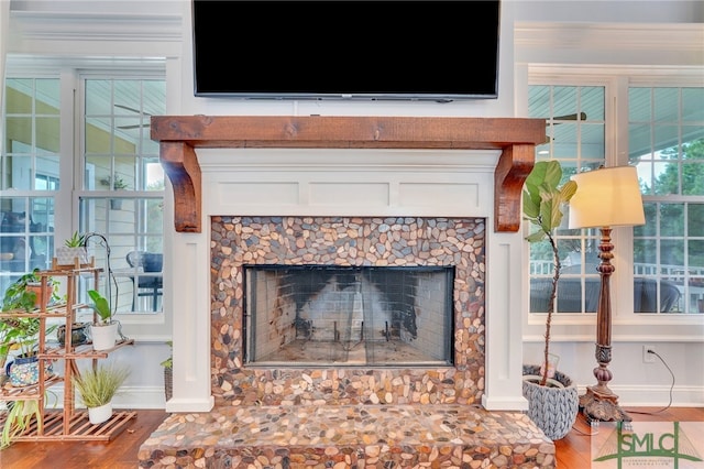 room details featuring a fireplace and wood-type flooring