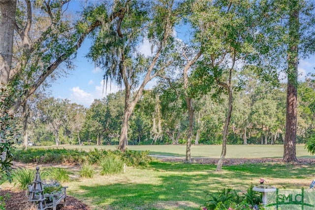 view of community featuring a lawn