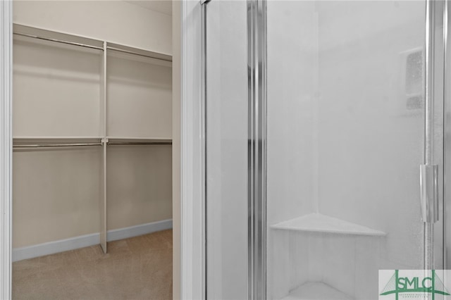 spacious closet with light carpet