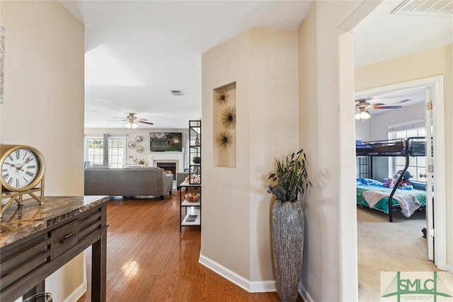 hall with a wealth of natural light and wood-type flooring