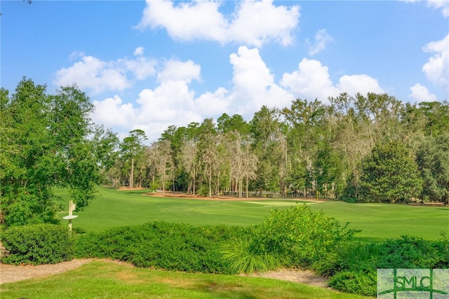 view of community featuring a yard