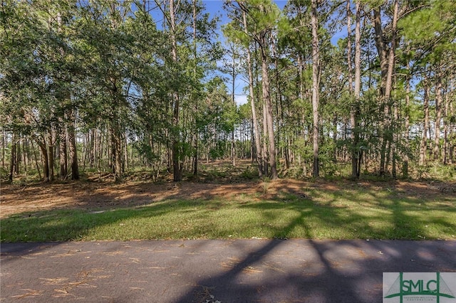 2184 Hunters Loop S, Hardeeville, SC 29927