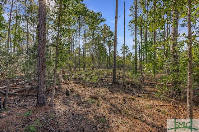 2184 Hunters Loop S, Hardeeville, SC 29927