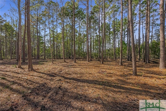 2184 Hunters Loop S, Hardeeville, SC 29927