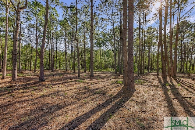 2184 Hunters Loop S, Hardeeville, SC 29927