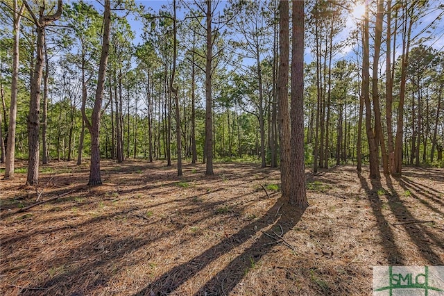 2184 Hunters Loop S, Hardeeville SC, 29927 land for sale