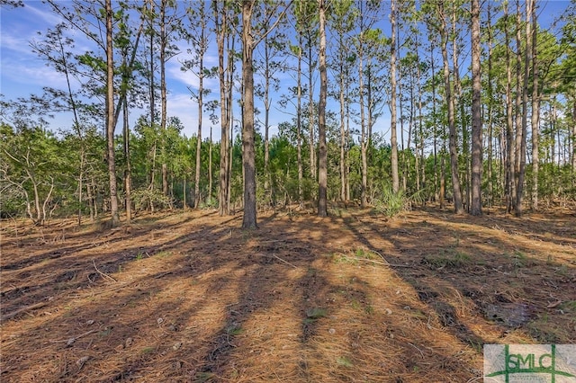 2184 Hunters Loop S, Hardeeville, SC 29927