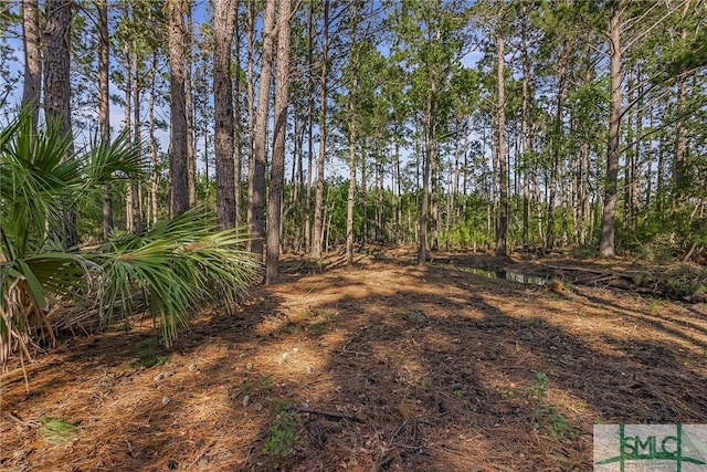 2184 Hunters Loop S, Hardeeville, SC 29927