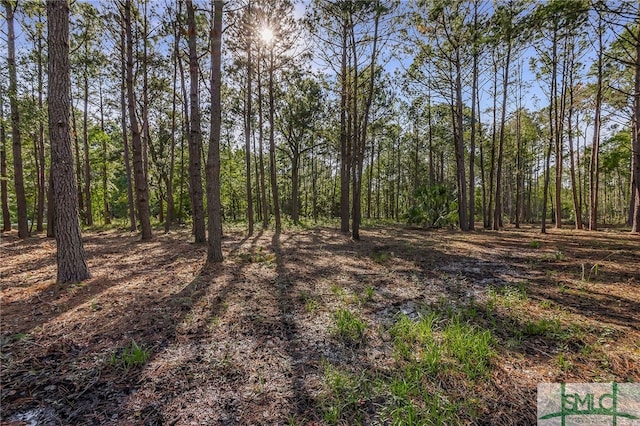 2184 Hunters Loop S, Hardeeville, SC 29927
