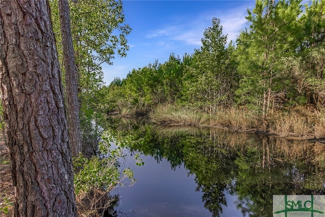 2184 Hunters Loop S, Hardeeville, SC 29927