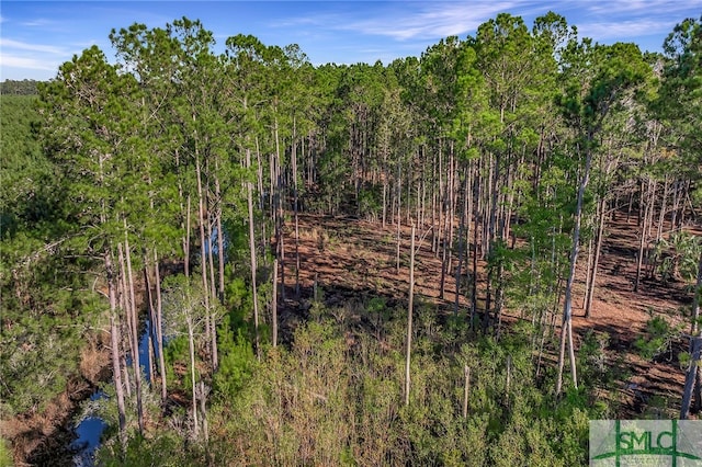 2184 Hunters Loop S, Hardeeville, SC 29927