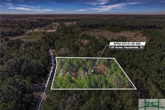 2184 Hunters Loop S, Hardeeville, SC 29927