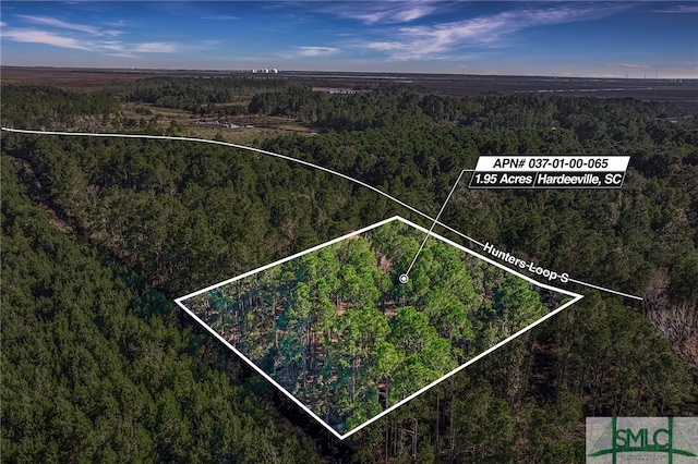 2184 Hunters Loop S, Hardeeville, SC 29927