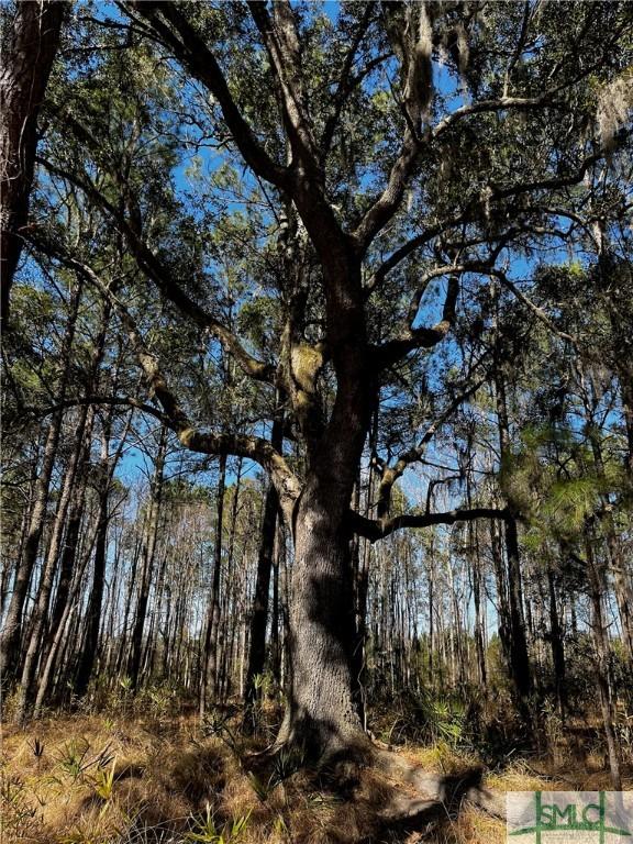 2184 Hunters Loop S, Hardeeville, SC 29927