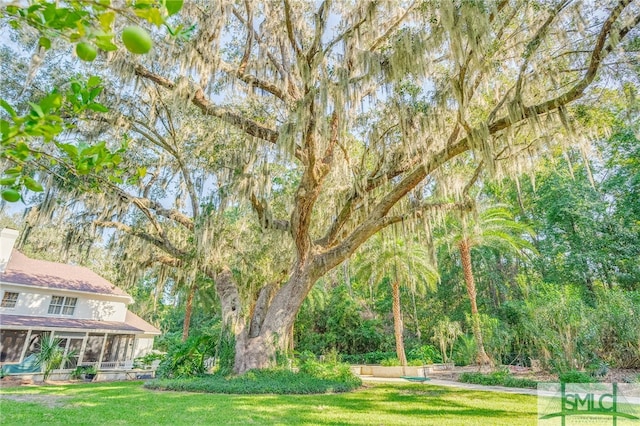 view of yard with a sunroom