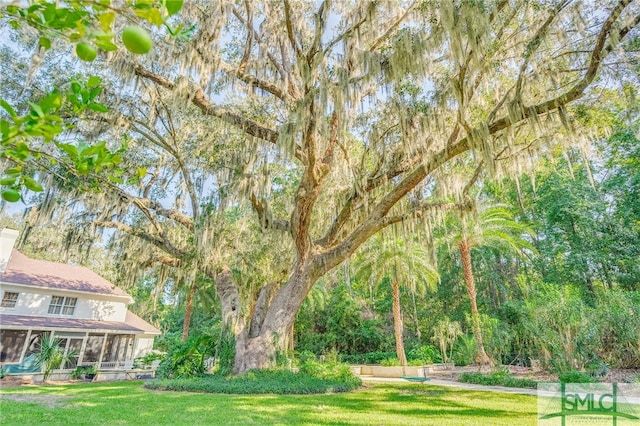70 Marsh Creek Ln, Richmond Hill, GA 31324 - view of yard