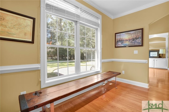 entryway with crown molding, light hardwood / wood-style flooring, and a healthy amount of sunlight