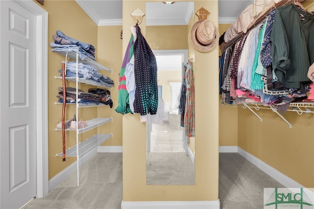 spacious closet with carpet