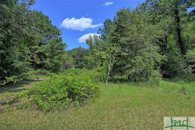 view of local wilderness