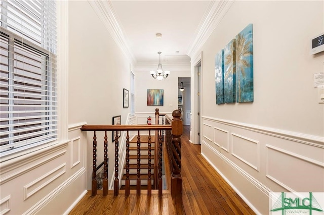 hallway featuring crown molding, dark hardwood / wood-style floors, and an inviting chandelier