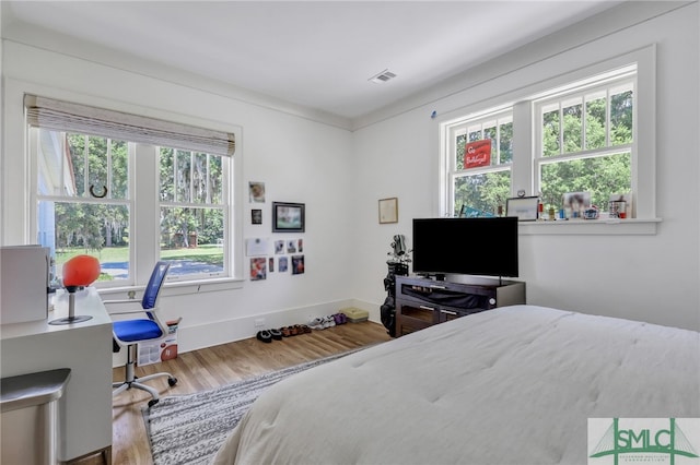 bedroom featuring wood-type flooring and multiple windows