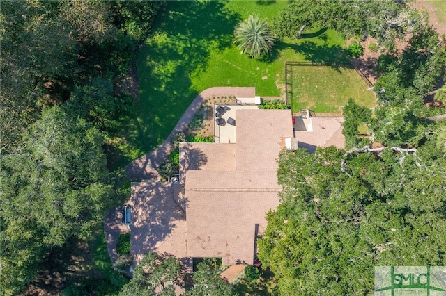 bird's eye view