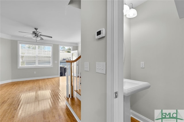 corridor with ornamental molding and hardwood / wood-style floors