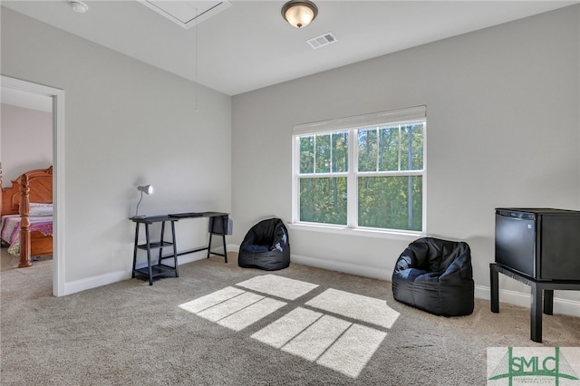 sitting room with light carpet