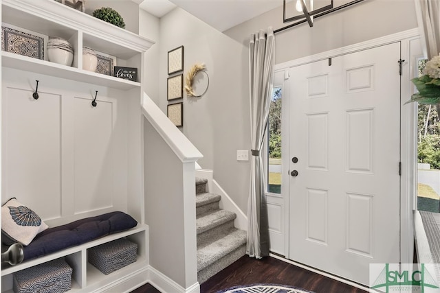 foyer featuring dark wood-type flooring