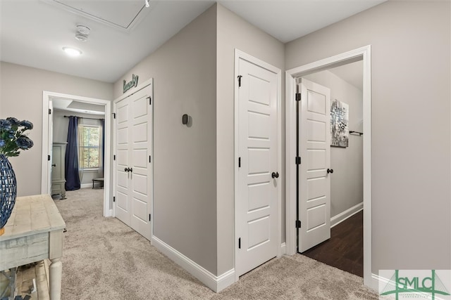 hallway with carpet