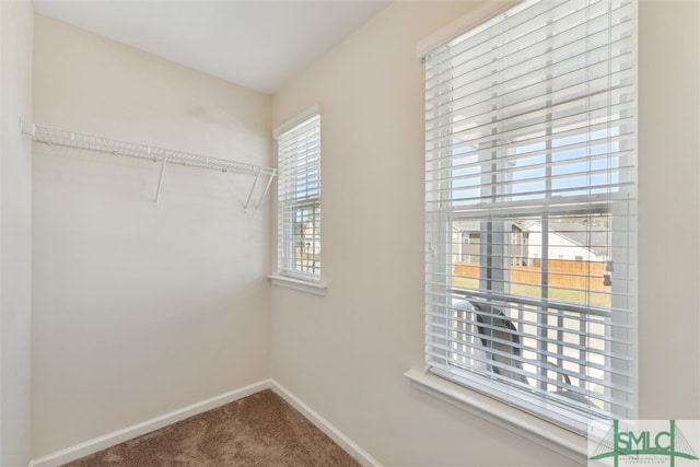 walk in closet featuring carpet floors