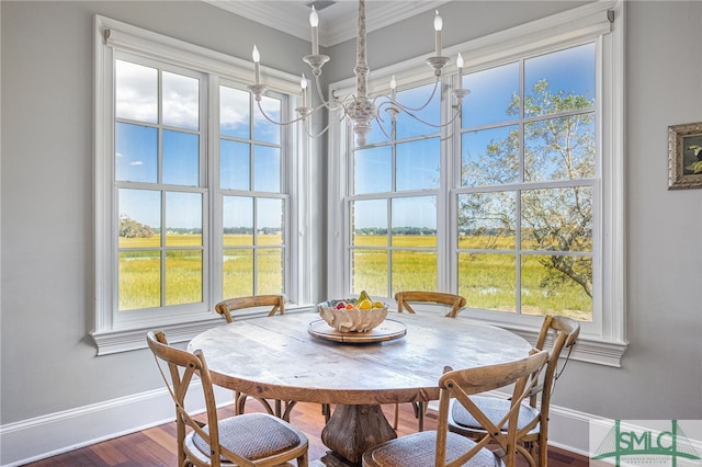 dining room featuring crown molding, hardwood / wood-style flooring, and plenty of natural light