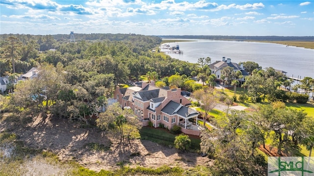 drone / aerial view with a water view