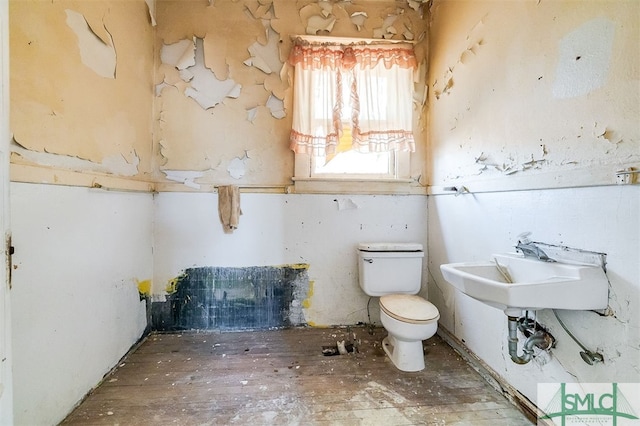 bathroom with toilet and sink