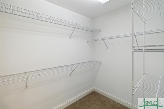 walk in closet with carpet