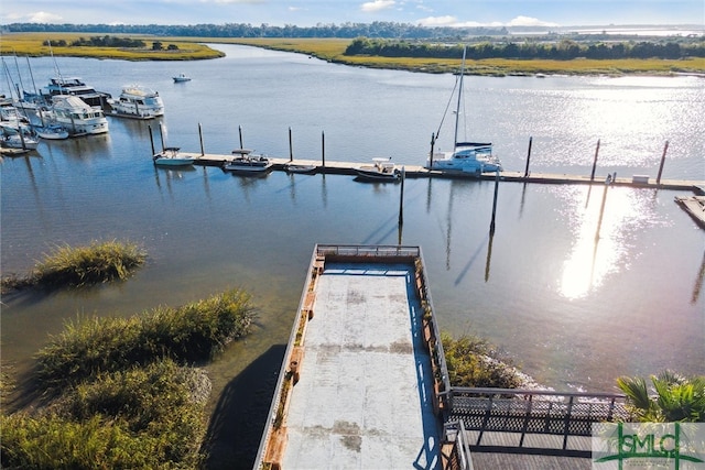 dock area with a water view