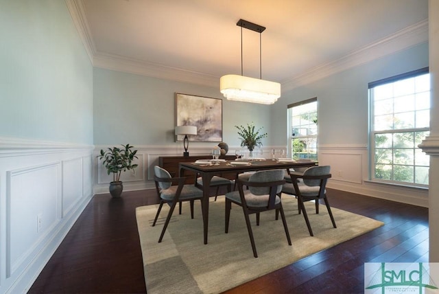 dining room featuring dark wood-type flooring, wainscoting, and ornamental molding