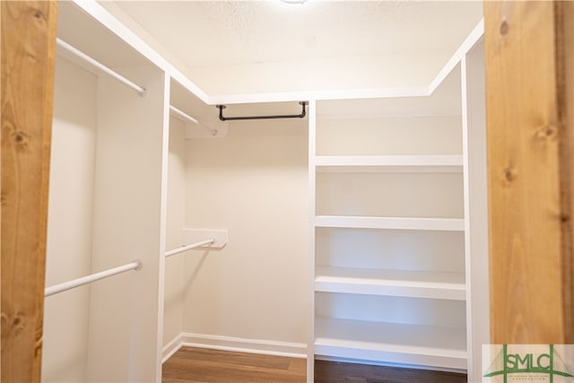 walk in closet with wood-type flooring