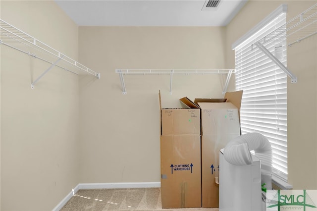 walk in closet featuring light colored carpet