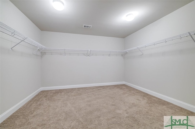 spacious closet with carpet floors