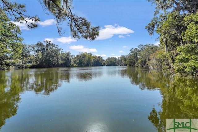 property view of water