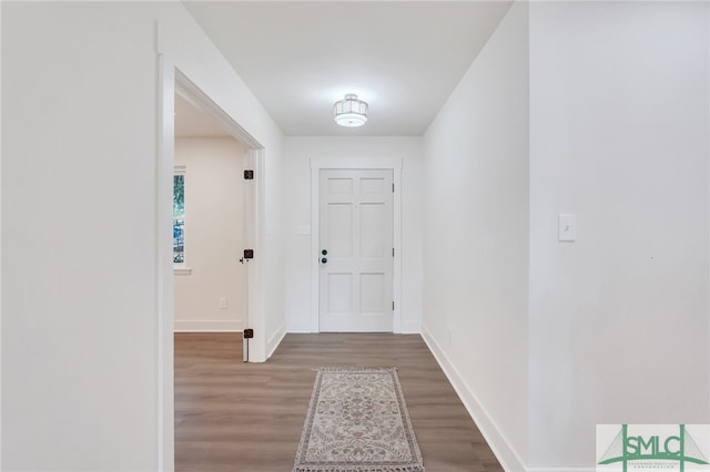 entryway featuring hardwood / wood-style flooring