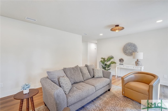 living room with wood-type flooring