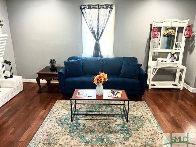 living room with dark hardwood / wood-style flooring