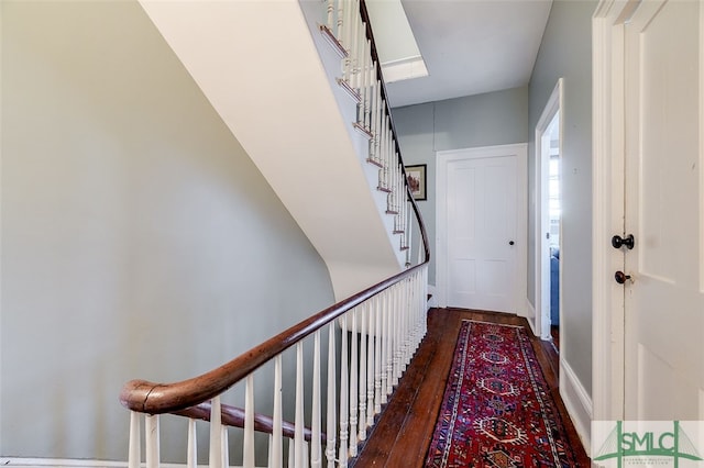 hall featuring dark wood-type flooring