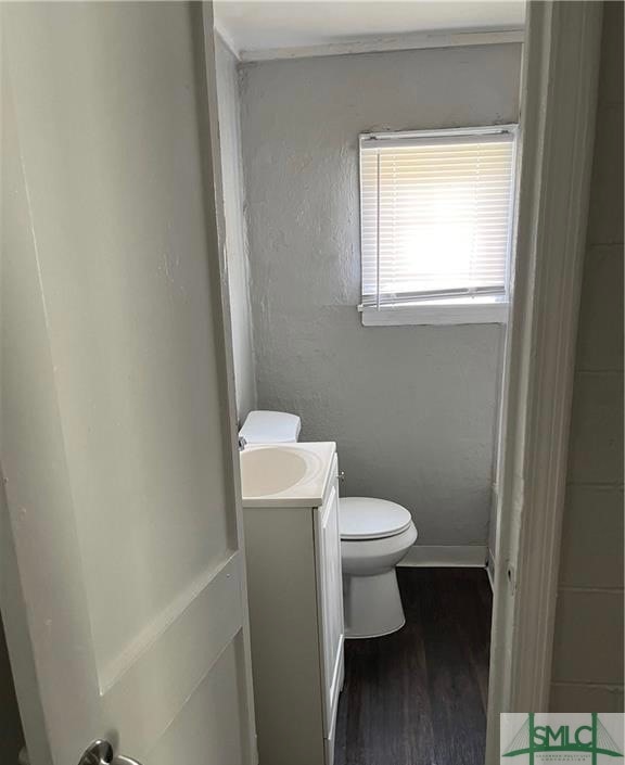 bathroom featuring vanity, toilet, and wood-type flooring