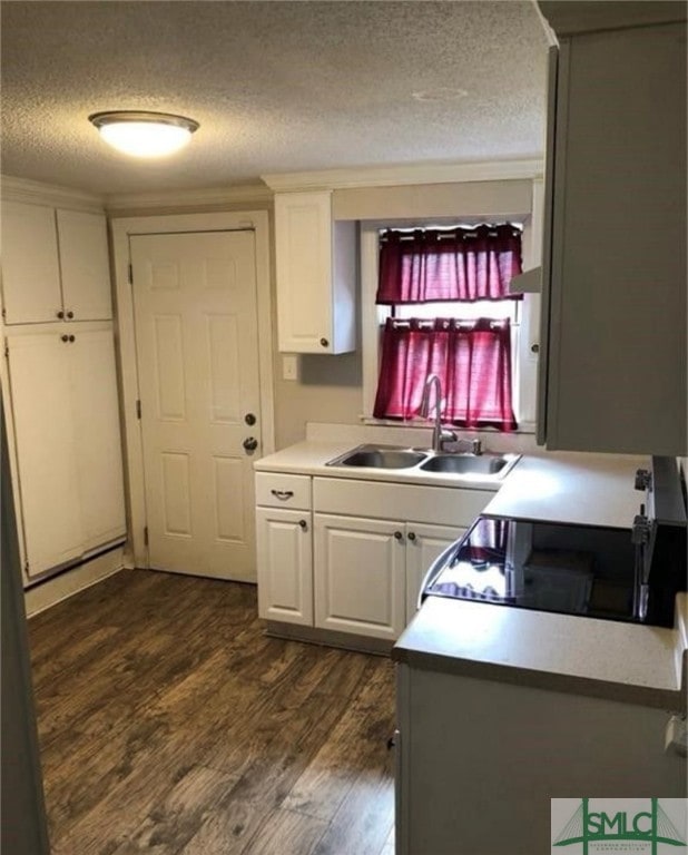 kitchen with dark wood-type flooring, a textured ceiling, sink, and white cabinets