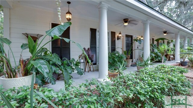 doorway to property with covered porch and ceiling fan